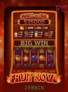 288WIN Rinha de galos
