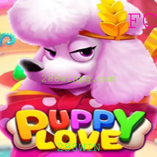 288WIN Casino App